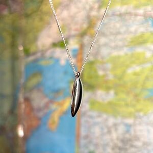 Jenny Bird Studio Silver Pendant Necklace NWOT